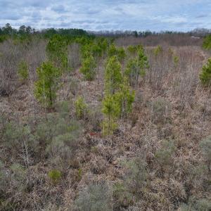 Photo #25 of SOLD property in Off Highway 55, Dover, NC 47.2 acres