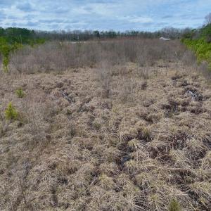 Photo #26 of SOLD property in Off Highway 55, Dover, NC 47.2 acres