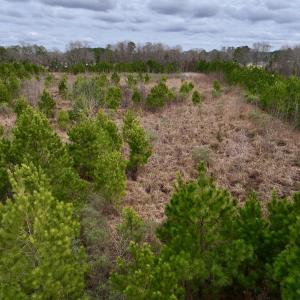 Photo #29 of SOLD property in Off Highway 55, Dover, NC 47.2 acres