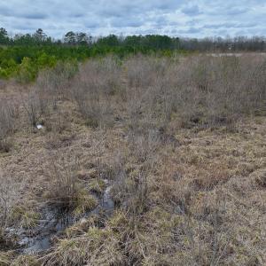 Photo #30 of SOLD property in Off Highway 55, Dover, NC 47.2 acres