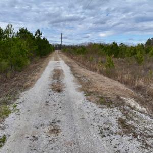 Photo #32 of SOLD property in Off Highway 55, Dover, NC 47.2 acres