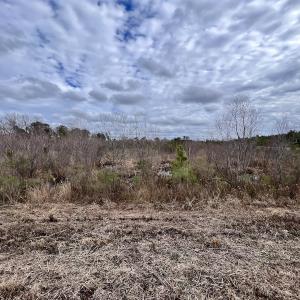 Photo #36 of SOLD property in Off Highway 55, Dover, NC 47.2 acres