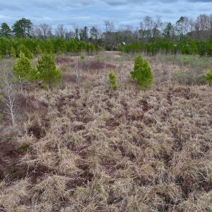 Photo #38 of SOLD property in Off Highway 55, Dover, NC 47.2 acres