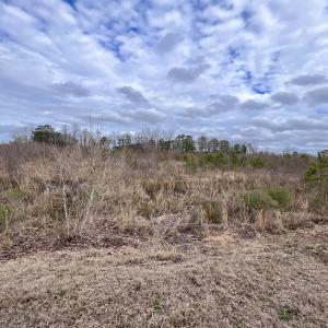 Photo #40 of SOLD property in Off Highway 55, Dover, NC 47.2 acres