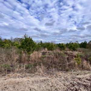 Photo #41 of SOLD property in Off Highway 55, Dover, NC 47.2 acres