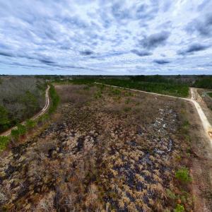 Photo #42 of SOLD property in Off Highway 55, Dover, NC 47.2 acres