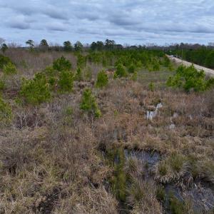 Photo #45 of SOLD property in Off Highway 55, Dover, NC 47.2 acres