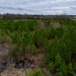 Photo #47 of SOLD property in Off Highway 55, Dover, NC 47.2 acres