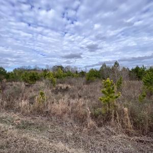 Photo #48 of SOLD property in Off Highway 55, Dover, NC 47.2 acres