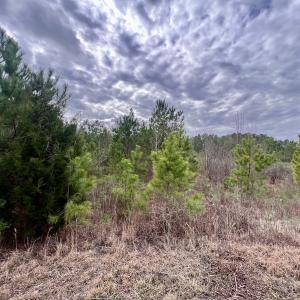Photo #49 of SOLD property in Off Highway 55, Dover, NC 47.2 acres