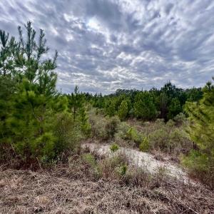 Photo #50 of SOLD property in Off Highway 55, Dover, NC 47.2 acres