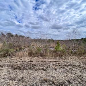 Photo #51 of SOLD property in Off Highway 55, Dover, NC 47.2 acres