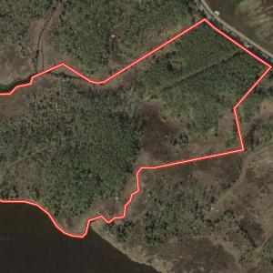 Photo #1 of SOLD property in Off Sladesville Credle Rd, Scranton, NC 36.9 acres