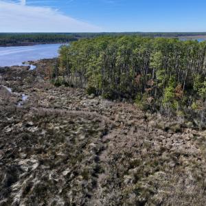 Photo #11 of SOLD property in Off Sladesville Credle Rd, Scranton, NC 36.9 acres