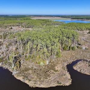 Photo #13 of SOLD property in Off Sladesville Credle Rd, Scranton, NC 36.9 acres