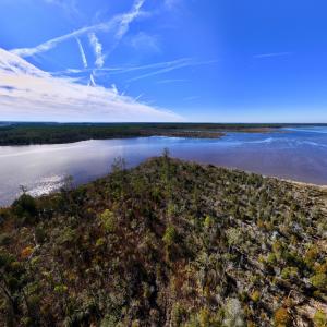 Photo #18 of SOLD property in Off Sladesville Credle Rd, Scranton, NC 36.9 acres