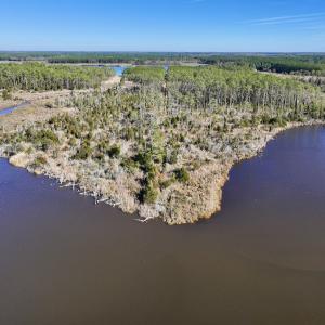 Photo #19 of SOLD property in Off Sladesville Credle Rd, Scranton, NC 36.9 acres
