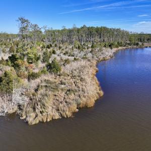Photo #20 of SOLD property in Off Sladesville Credle Rd, Scranton, NC 36.9 acres