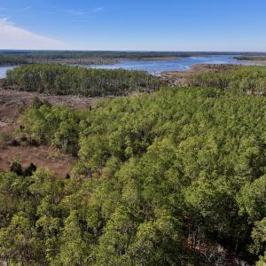 Photo #5 of SOLD property in Off Sladesville Credle Rd, Scranton, NC 36.9 acres