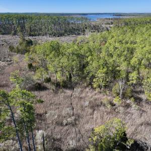 Photo #6 of SOLD property in Off Sladesville Credle Rd, Scranton, NC 36.9 acres