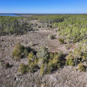 Photo #10 of SOLD property in Off Sladesville Credle Rd, Scranton, NC 36.9 acres