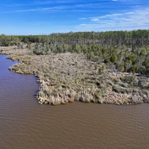 Photo #22 of SOLD property in Off Sladesville Credle Rd, Scranton, NC 36.9 acres
