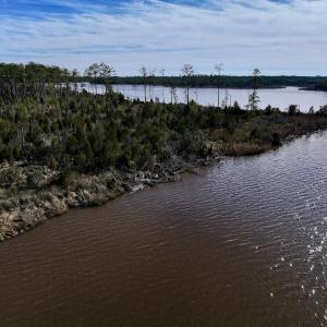 Photo #23 of SOLD property in Off Sladesville Credle Rd, Scranton, NC 36.9 acres