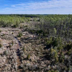 Photo #25 of SOLD property in Off Sladesville Credle Rd, Scranton, NC 36.9 acres