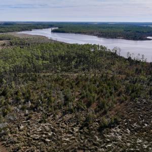 Photo #26 of SOLD property in Off Sladesville Credle Rd, Scranton, NC 36.9 acres