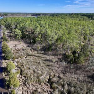 Photo #27 of SOLD property in Off Sladesville Credle Rd, Scranton, NC 36.9 acres