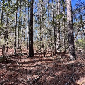 Photo #33 of SOLD property in Off Sladesville Credle Rd, Scranton, NC 36.9 acres