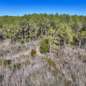 Photo #39 of SOLD property in Off Sladesville Credle Rd, Scranton, NC 36.9 acres