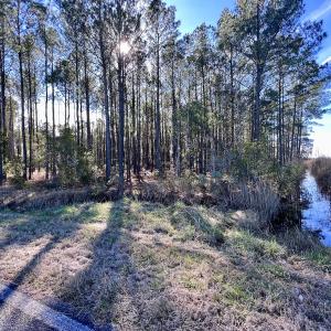 Photo #43 of SOLD property in Off Sladesville Credle Rd, Scranton, NC 36.9 acres