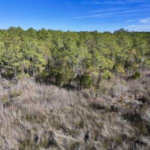 Photo #44 of SOLD property in Off Sladesville Credle Rd, Scranton, NC 36.9 acres