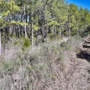 Photo #45 of SOLD property in Off Sladesville Credle Rd, Scranton, NC 36.9 acres