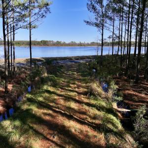 Photo #51 of SOLD property in Off Sladesville Credle Rd, Scranton, NC 36.9 acres