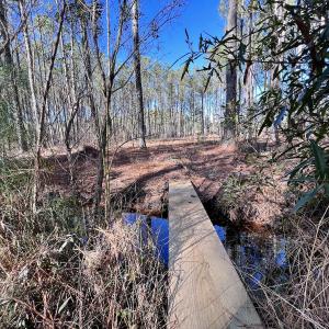 Photo #55 of SOLD property in Off Sladesville Credle Rd, Scranton, NC 36.9 acres