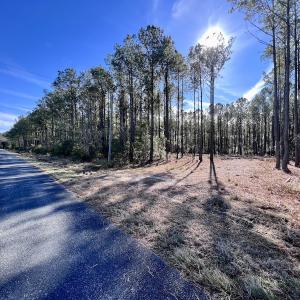 Photo #57 of SOLD property in Off Sladesville Credle Rd, Scranton, NC 36.9 acres