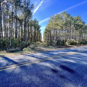 Photo #58 of SOLD property in Off Sladesville Credle Rd, Scranton, NC 36.9 acres