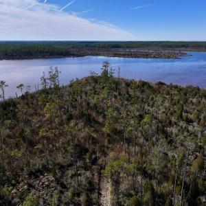 Photo #60 of SOLD property in Off Sladesville Credle Rd, Scranton, NC 36.9 acres