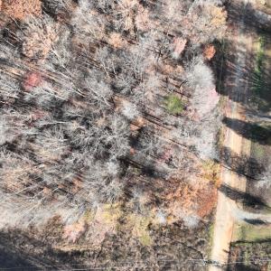 Photo #12 of SOLD property in 334 Westview Drive, Gibsonville, NC 2.9 acres