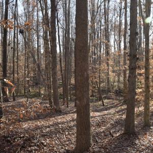 Photo #14 of SOLD property in 334 Westview Drive, Gibsonville, NC 2.9 acres