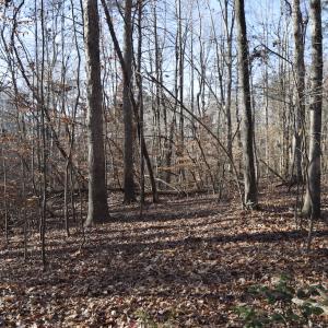 Photo #15 of SOLD property in 334 Westview Drive, Gibsonville, NC 2.9 acres