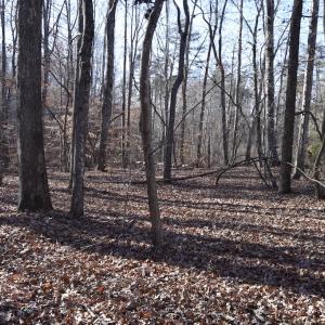 Photo #17 of 334 Westview Drive, Gibsonville, NC 2.9 acres