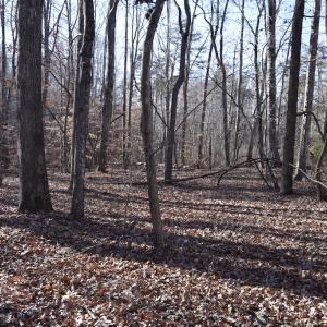 Photo #17 of SOLD property in 334 Westview Drive, Gibsonville, NC 2.9 acres