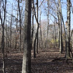 Photo #18 of SOLD property in 334 Westview Drive, Gibsonville, NC 2.9 acres