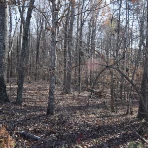 Photo #19 of 334 Westview Drive, Gibsonville, NC 2.9 acres