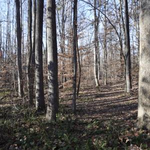 Photo #20 of SOLD property in 334 Westview Drive, Gibsonville, NC 2.9 acres