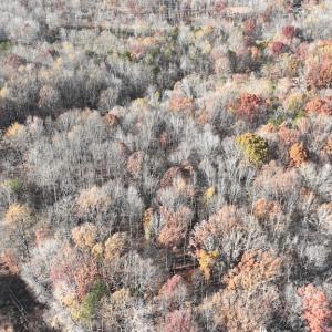 Photo #4 of SOLD property in 334 Westview Drive, Gibsonville, NC 2.9 acres