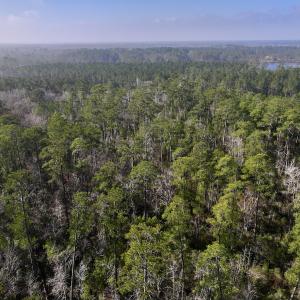 Photo #14 of SOLD property in 280 Arant Farm Rd, Merritt, NC 10.1 acres